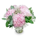 bouquet of hydrangeas
